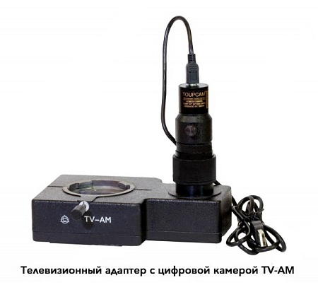 Телевизионный адаптер с цифровой камерой TV-AM